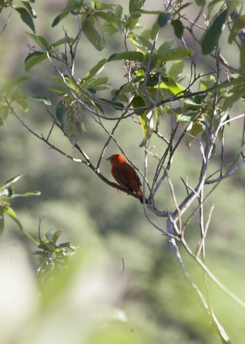 Foto de Serra - Edson Reis